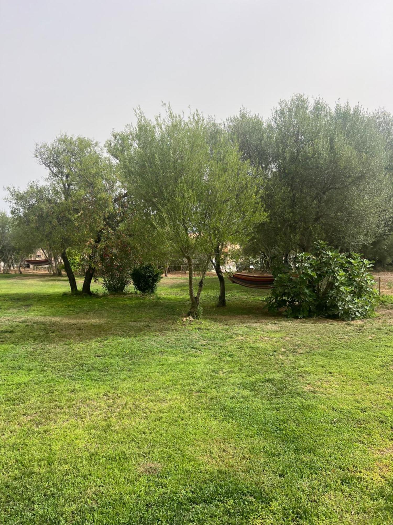 Lo Stazzo Di Wally Guest House Porto Pollo Exterior photo